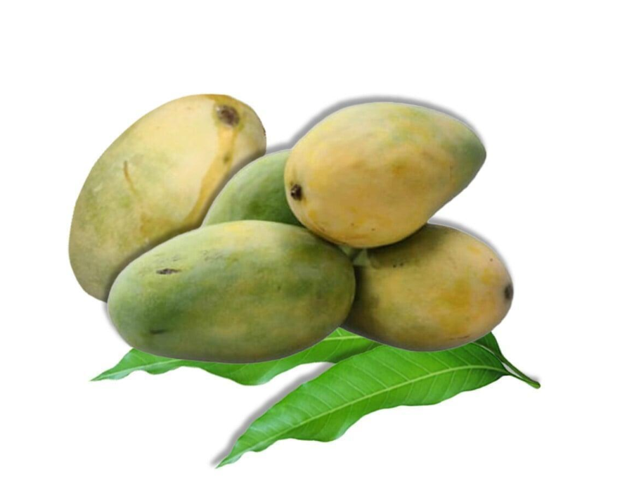 Pedda Rasalu Ulavapadu - Image 2